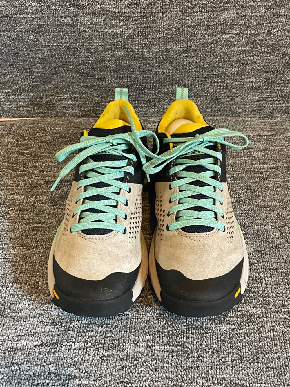 Danner Trail 2650 Trail Gor-Tex hHikers